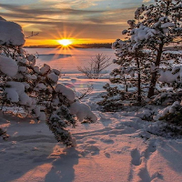 snow wallpaper