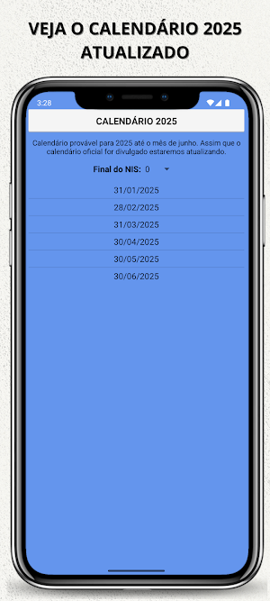 Consulta Bolsa Família 2025 Screenshot 1