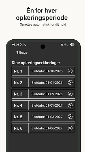 Vej-asfaltør Screenshot 1