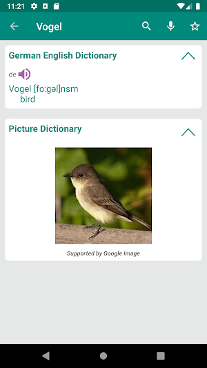 German English Dictionary Screenshot 1