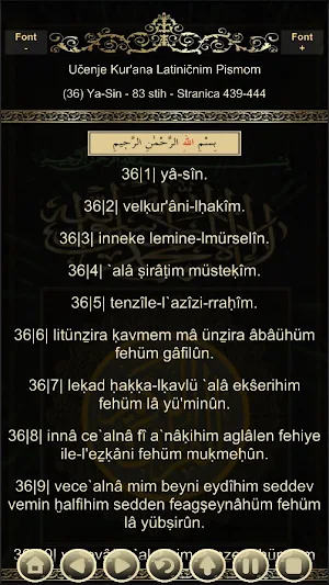 Bosanski Prijevodi Kur'ana Screenshot 2