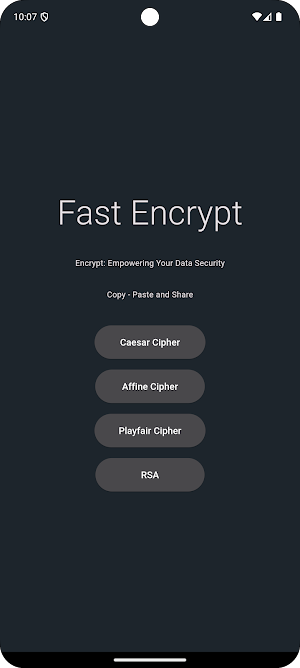 FastEncrypt: Secure with RSA Screenshot 0