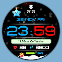 WIN Snowfall Digital Pro