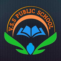 VSS Public School