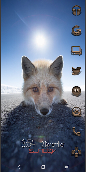 Combo Naked Java Icon Pack Screenshot 2