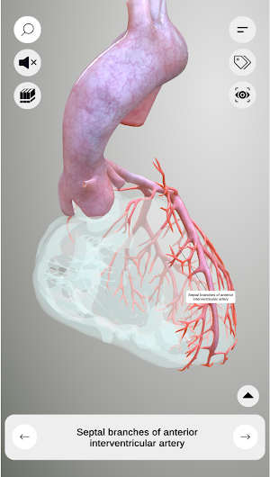 3D Heart Anatomy Screenshot 2
