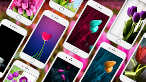 Tulip Live Wallpapers Screenshot 0