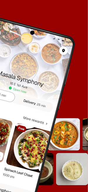 Masala Symphony Screenshot 1