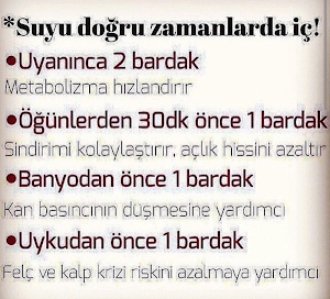 Pratik ve Yararlı Bilgiler Screenshot 3