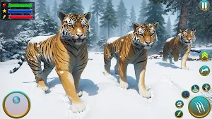 Wild Tiger Animal Survival Sim Screenshot 3