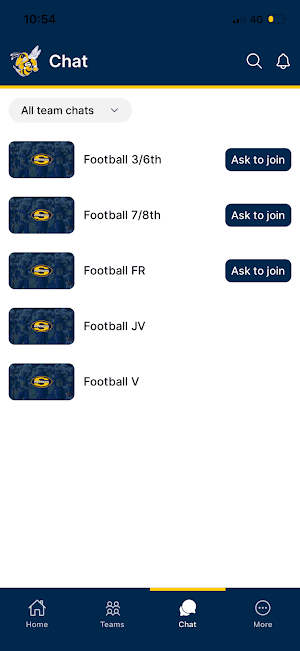 Saline Hornets Football Screenshot 2
