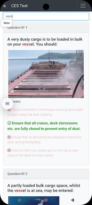 Bulk carriers CHaS Support CES Screenshot 2