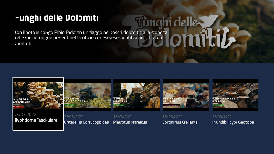 Dolomiti Life TV Screenshot 2