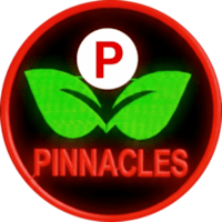 PINNACLES