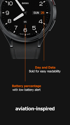 ProCaptain: Analog Pilot Watch Screenshot 2