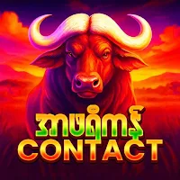 ကျွဲ Contact