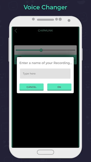 Funny Voice Changer with Effects Screenshot 3