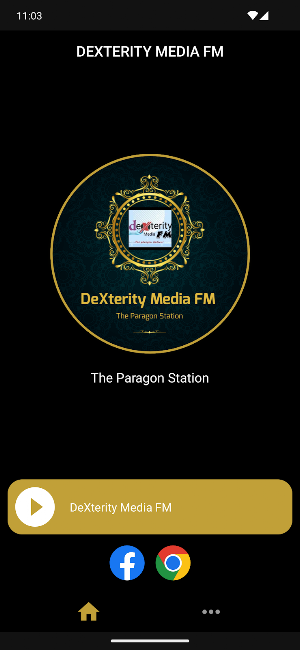 DeXterity Media FM Screenshot 2