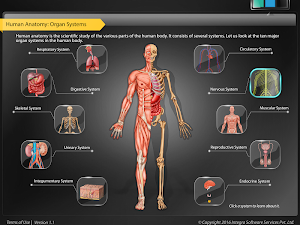 HumanAnatomy-NervousSystem Screenshot 0