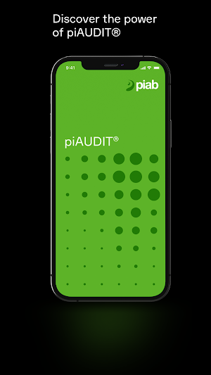 piAUDIT Screenshot 0
