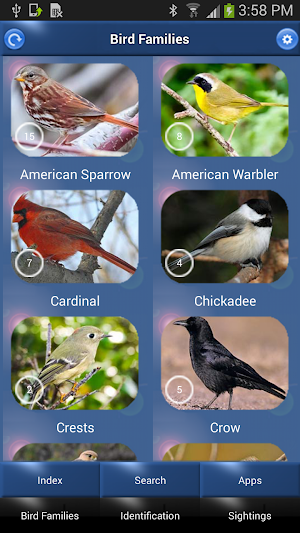 Bird Id North America Screenshot 0