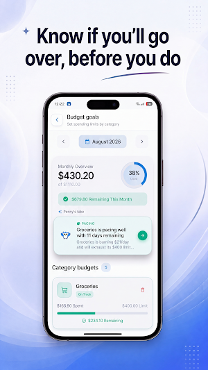 CashWise Voice Expense Tracker Screenshot 3