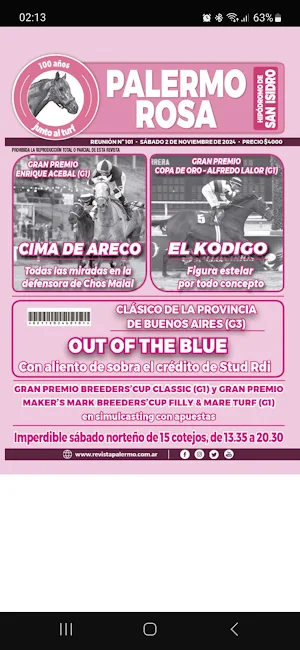 Revista Palermo Digital Screenshot 2