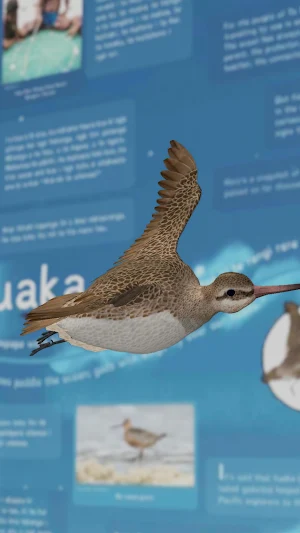 Tuia Mātauranga AR Screenshot 0