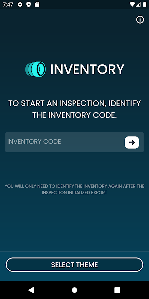 Budini Inventory Inspection Screenshot 2