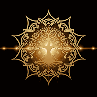 Discover My Light Academy