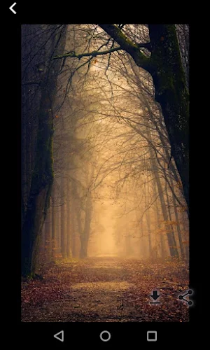 Nature wallpapers android HD Screenshot 2