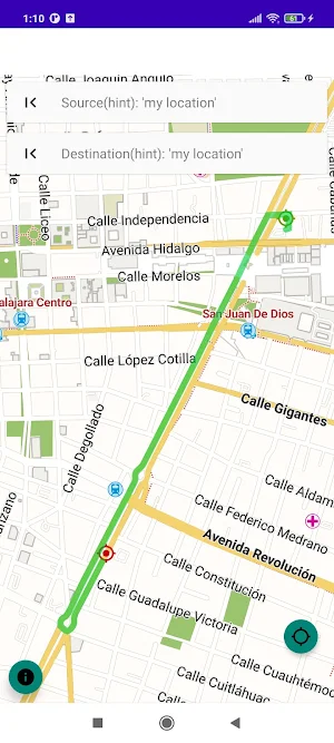 Guadalajara Jalisco Offline Map Screenshot 0