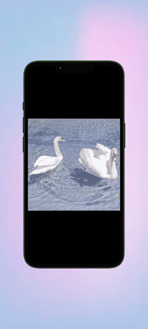 Angsa WalL Screenshot 1