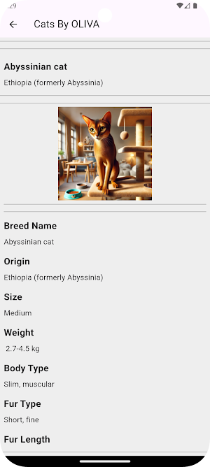 Cats Screenshot 1