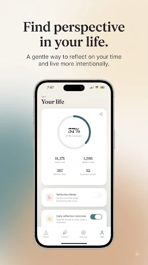 Lifinite Screenshot 2