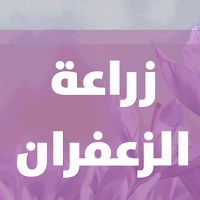 دليل زراعة الزعفران