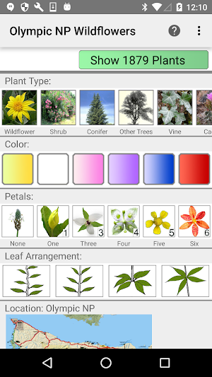 Olympic Wildflowers Screenshot 0