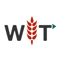 WIT Grains