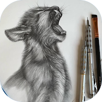 How to draw animals