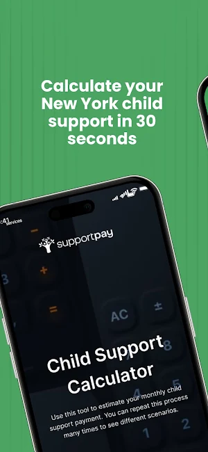 US Child Support Calculator Screenshot 0