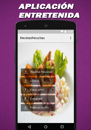 Recetas peruanas Screenshot 1
