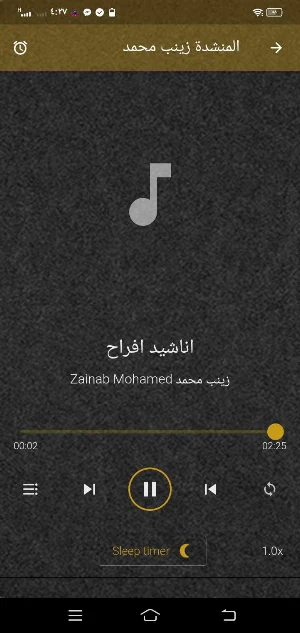 المنشدة زينب محمد MP3 بدون نت Screenshot 1