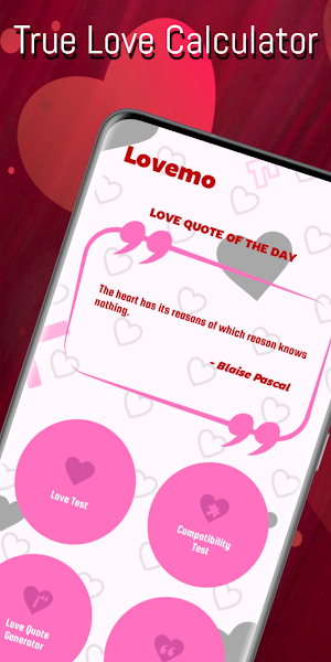 True Love Calculator Screenshot 0