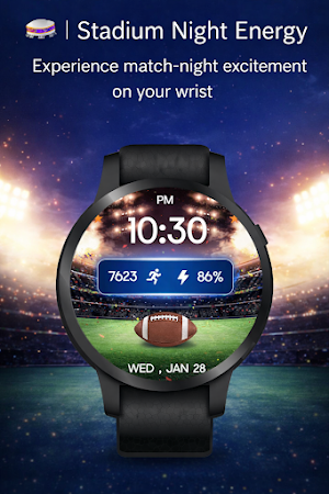 Football Stadium Watch Face Screenshot 0