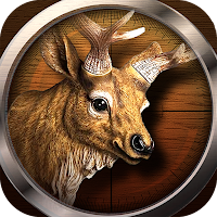 The Hunting World 3D shooting