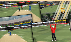 Real Cricket GO Paradox Screenshot 1
