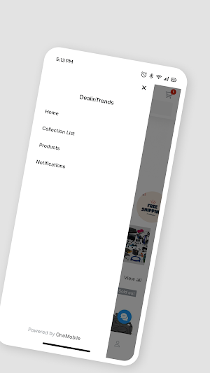 DealinTrends Shop Screenshot 3