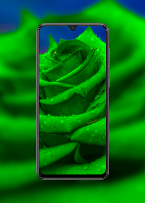 Poco M4 Pro Wallpapers Screenshot 0