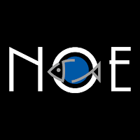 NOE SUSHI