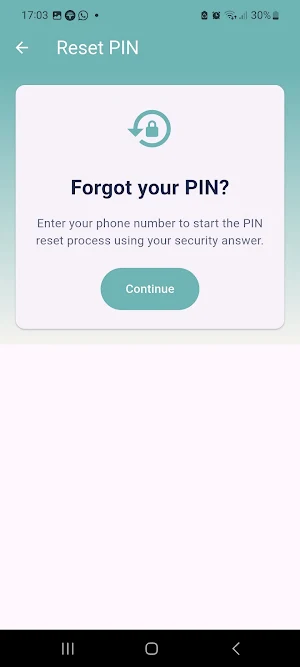 VirtualSafe Screenshot 2